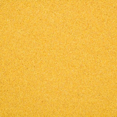 doğal tohumları darı