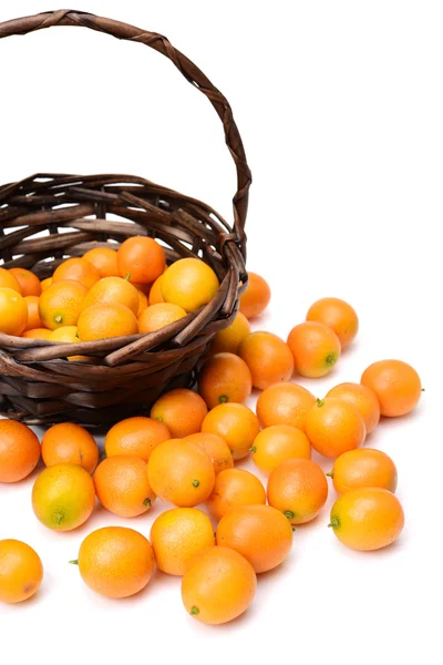 Fresh juicy oranges — Stock Photo, Image