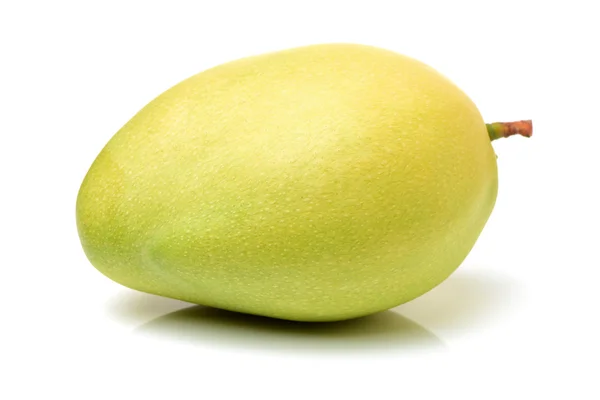 Mango su sfondo bianco — Foto Stock