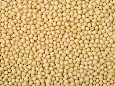 Kurutulmuş soya fasulye yığını