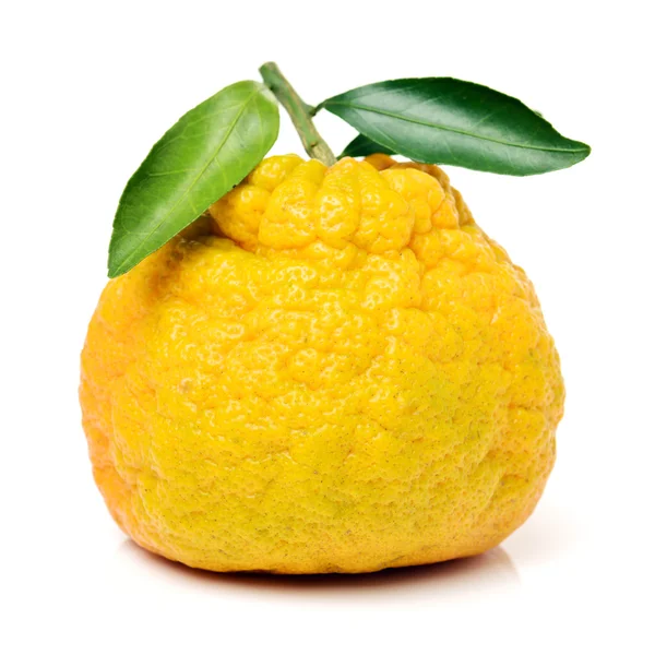 Mogen färsk citron — Stockfoto