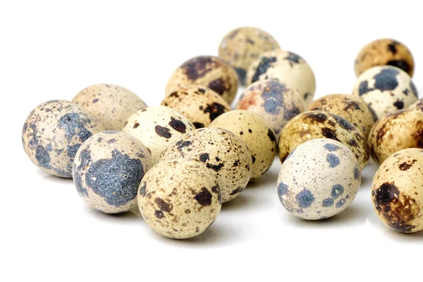 Spotted quail eggs — Stock Photo, Image