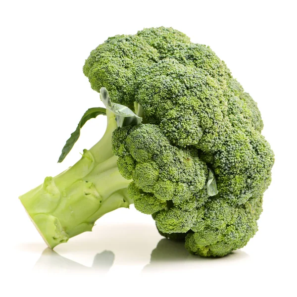 Brokolice na bílém pozadí — Stock fotografie