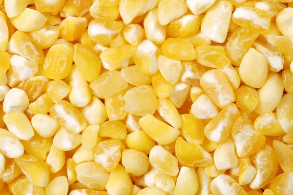 Organic dry corn grains — Stock Photo, Image