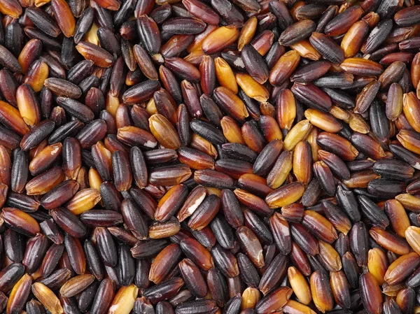 Dried date fruits close up — Stock Photo, Image