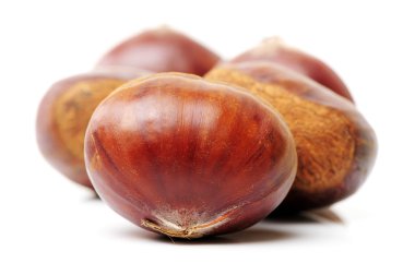 Fındık yığını kapat