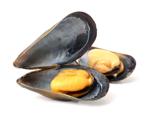 Pila de mejillones de cerca —  Fotos de Stock