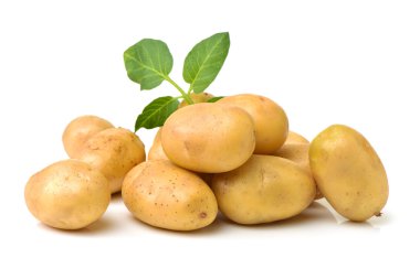 patates üzerine beyaz kapatın