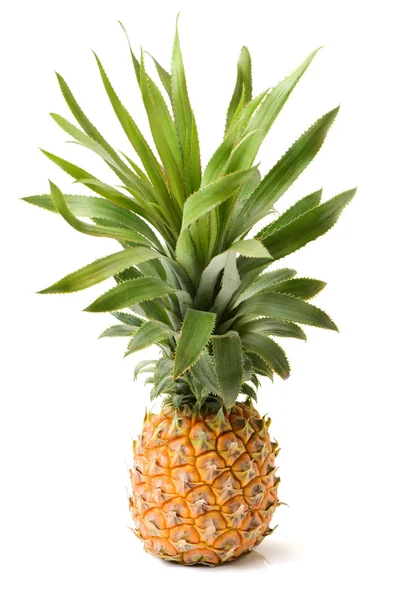 Ananas på nära håll på vit — Stockfoto