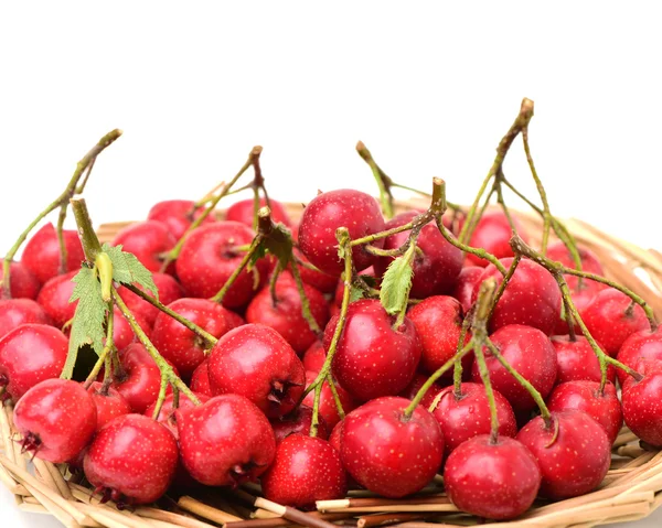 Hawthorn berries in basket — Stock Photo, Image