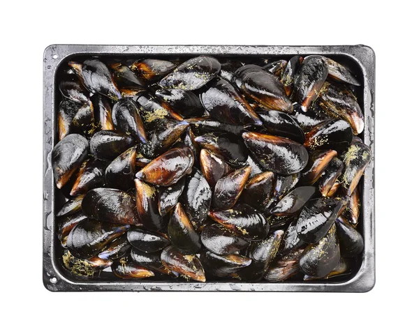 Pila de mejillones de cerca — Foto de Stock