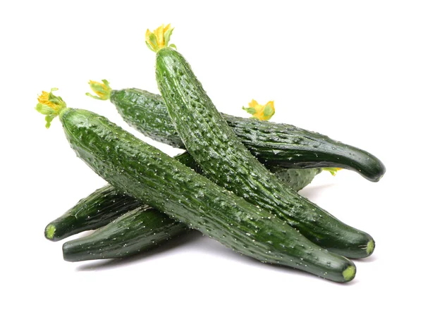 Fresh green cucumbers with flowers — Stock Photo, Image