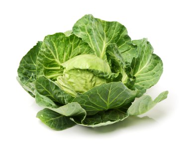 taze lahana yakın çekim