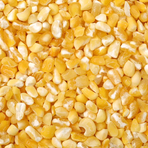 Organic dry corn grains — Stock Photo, Image