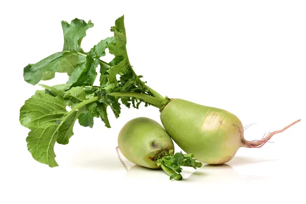 Whole single green radish on — Stock Photo, Image