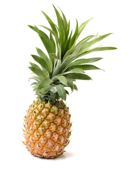 Ananas da vicino su bianco — Foto Stock