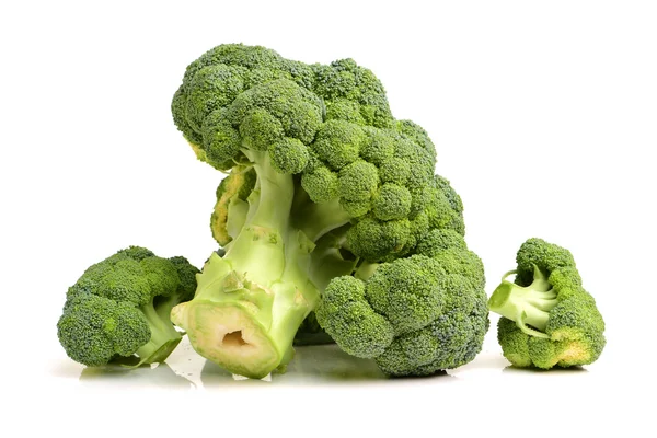 Broccoli su sfondo bianco — Foto Stock