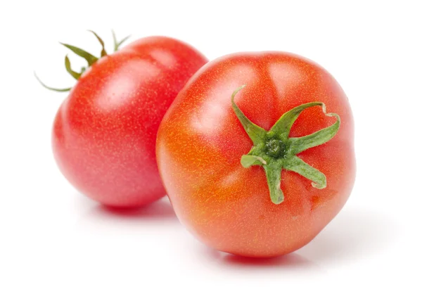 Frische rote Tomaten — Stockfoto