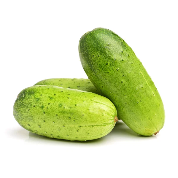 Gurkor färska gröna — Stockfoto