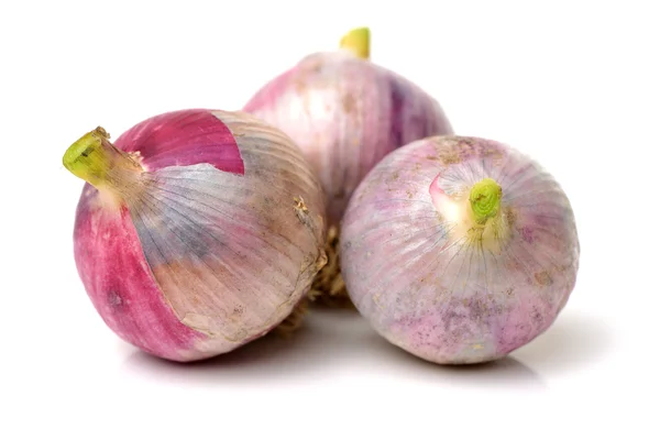 Three Purple Coloured Onions White — Stock Photo, Image