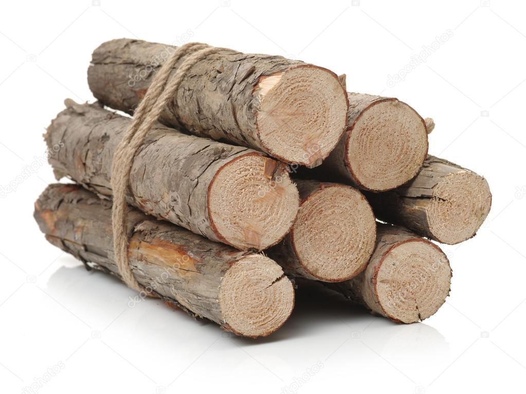 Pine logs on white