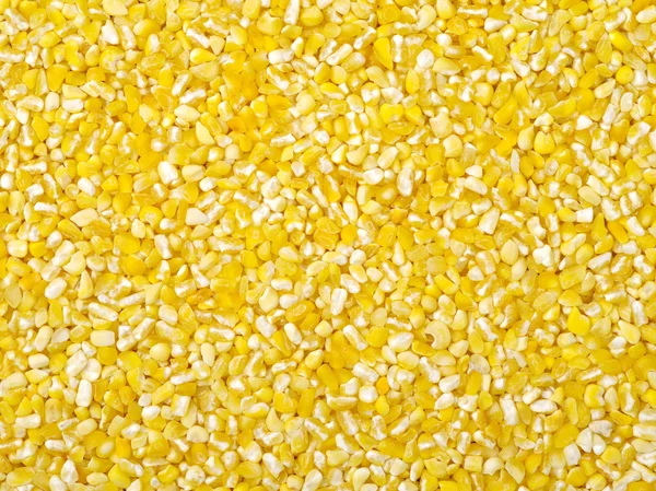 有机干玉米籽粒 — 图库照片