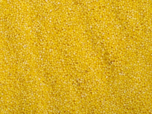 有机干种子小米 — 图库照片