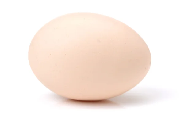 Close up of egg on white — Stock Photo, Image