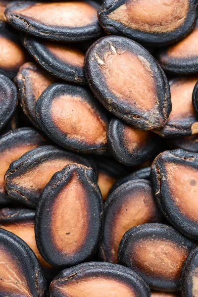 Roasted Pumpkin seeds — Stock Photo, Image