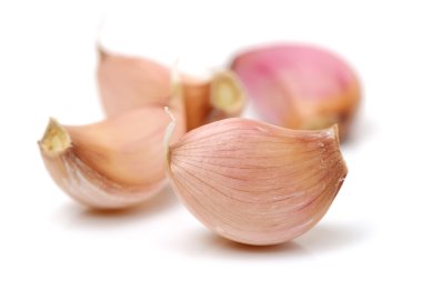 Beyaz üzerine izole edilmiş taze sarımsak. 