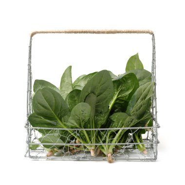 Ispanak üzerinde beyaz arka plan