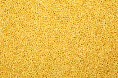 taze sarı darı arka plan