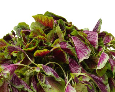 Mor beyaz zemin üzerine