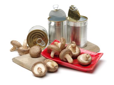 Shiitake mantar beyaz 