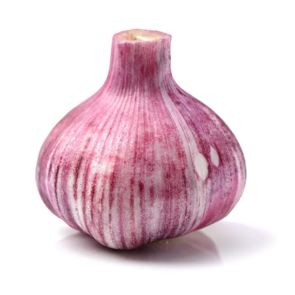 Neuer Knoblauch auf weißem Hintergrund — Stockfoto