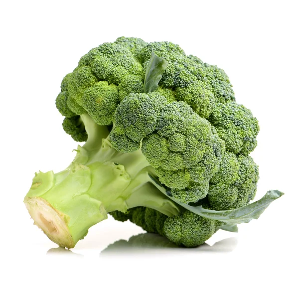 Brokkoli zöldség fehér alapon — Stock Fotó