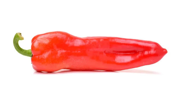 Färsk röd paprika skiva på — Stockfoto