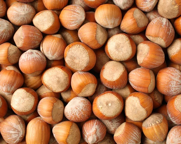 Fresh and raw Hazelnuts background — Stock Photo, Image