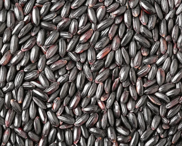 Black sticky rice isolated over — Stock Photo, Image