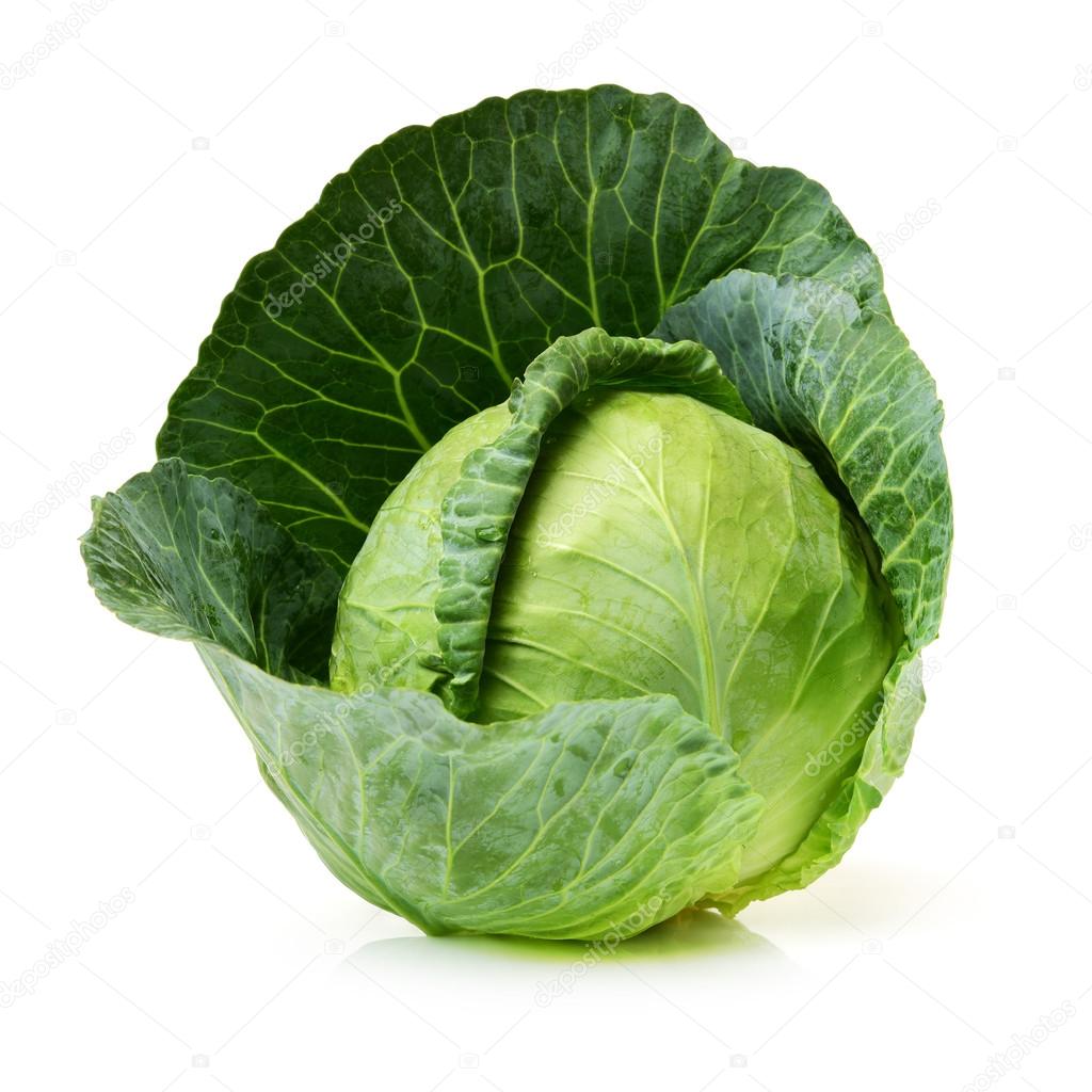 Green cabbage isolated on white 