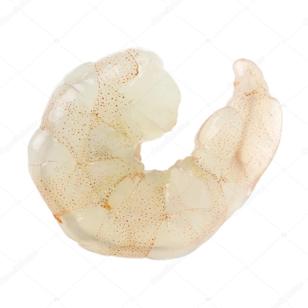 Raw shrimp on white background
