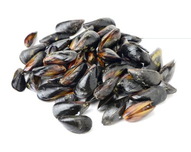 Beyaz arkaplanda taze midye