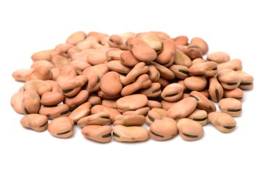 fava fasulye, vicia faba beyaz zemin üzerine