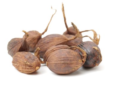 Bir beyaz üzerine siyah kakule 