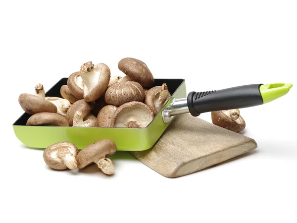 Shiitake svamp på den vita bakgrunden — Stockfoto