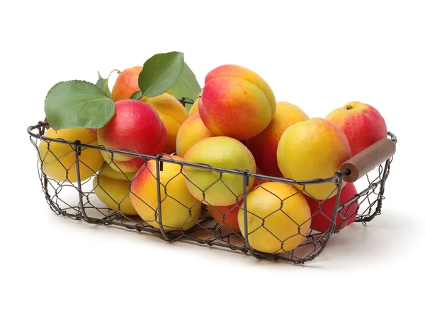 Ripe apricot with leaves isolated — Stock Photo, Image