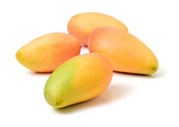 Mango på vit bakgrund — Stockfoto