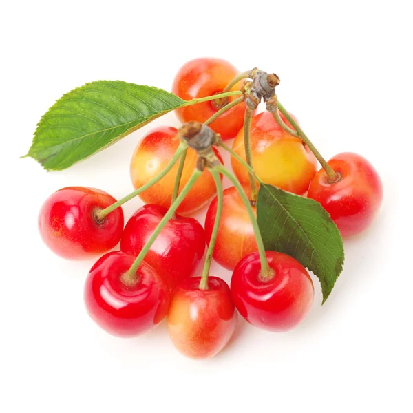 Cherry isolated on white background — Stock Photo, Image