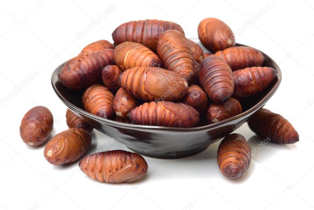 chrysalis silkworm ,silk worm cocoon on white background 