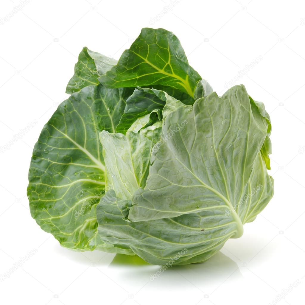 Green cabbage isolated on white 